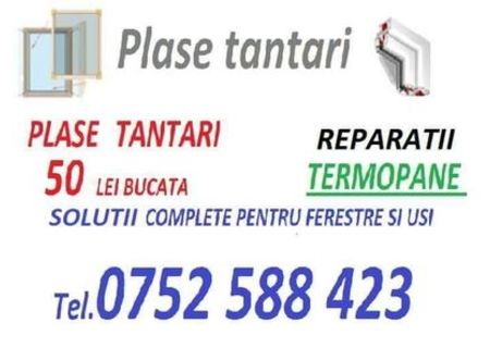 Plase tantari / Reparatii termopane