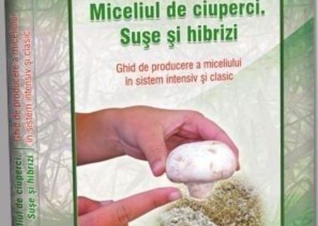 Producerea miceliului