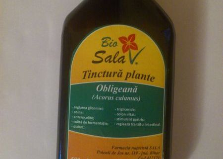 Produse Naturiste - Ceaiuri, Tincturi, Alifii, Sirop