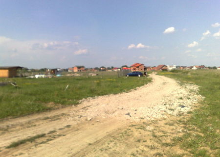 PROprietar vand urgent teren Mosnita Noua