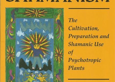 Psyhedelic Shamanism de Jim DeKorne