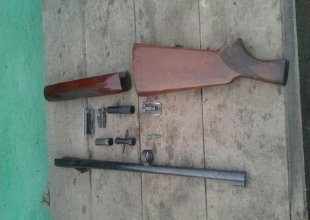 pusca  bereta a 303