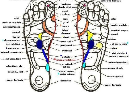 Reflexoterapie la domiciliu