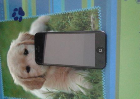 replica iphone 5 1:1 replica iphone 5 1:1