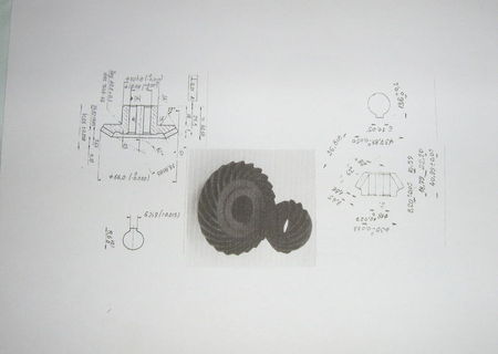 Roti dintate paloidale