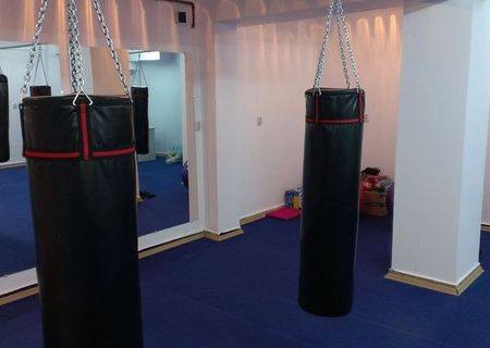 sac de box performance