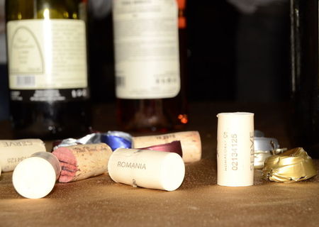 Sambata seara sectorul 6 danseaza rock'n'roll