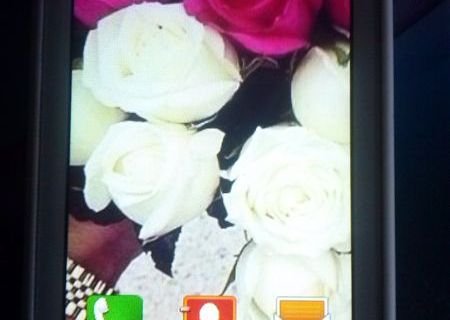 SamsungWave 575 La Fleur SamsungWave 575 La Fleur