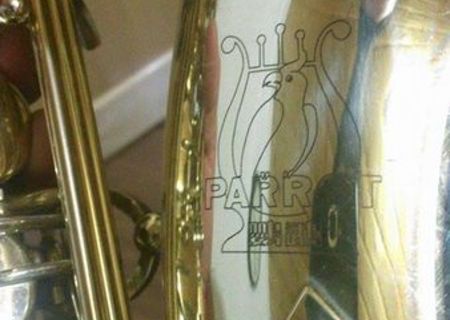 Saxofon Parrot