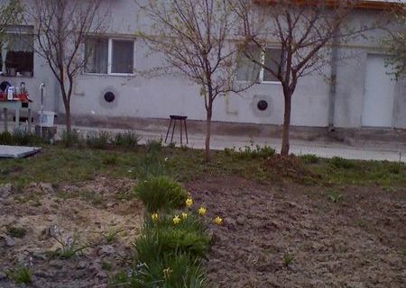 Schimb/Vand vila p+1 in zona de subdeal  in PH cu apartament sau casa in Bucuresti/ Brasov