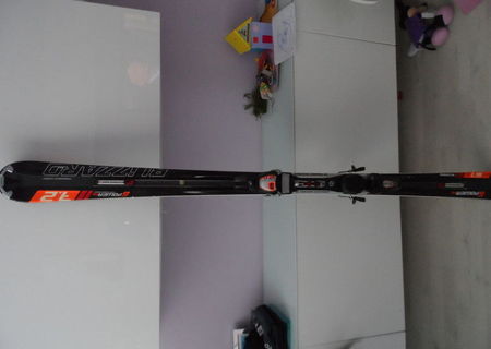 Schiuri Blizzard IQ FS Powerrail System