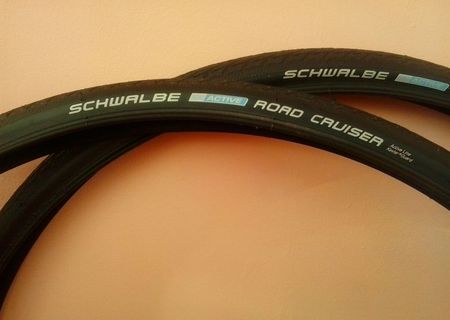 SCHWALBE ROAD CRUISER