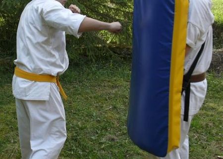 scut de antrenament pt sporturi de contact scut de antrenament pt sporturi de contact