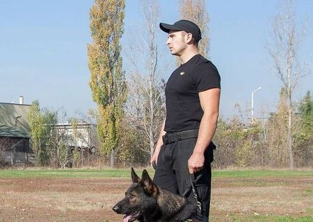 servicii de paza si monitorizare