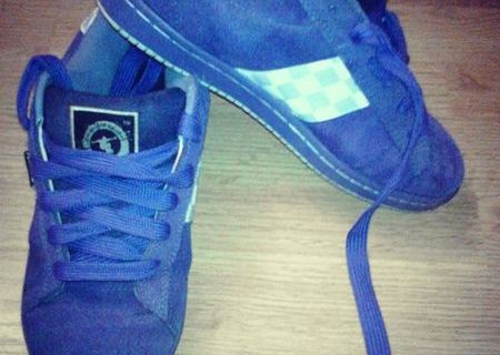 Skate Shoes