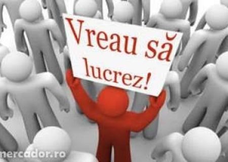 Sofer profesionist caut post.