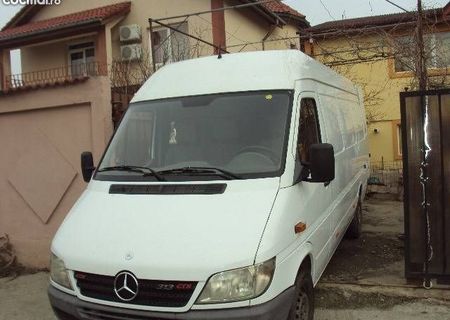sprinter 313