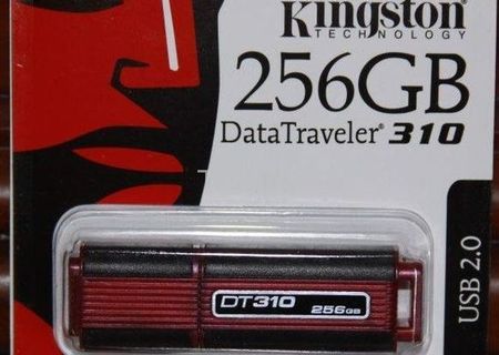 Stick Kingston 256 GB