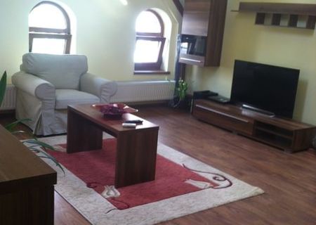 Stirbei Voda - Berzei , apartament in vila Stirbei Voda - Berzei , apartament in vila