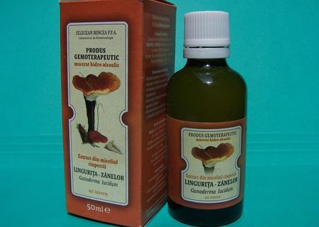 Suplimente alimentare din ciuperci medicinale (Ganoderma, Trametes, Pleurotus) Suplimente alimentare din ciuperci medicinale (Ganoderma, Trametes, Pleurotus)
