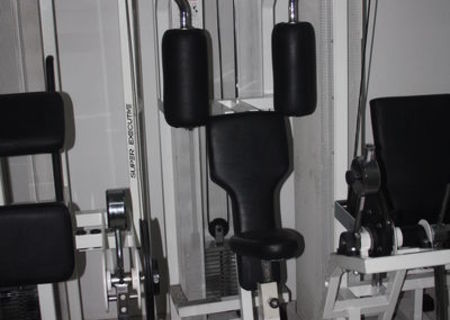 Technogym Isotonic Super Executive Line Technogym Isotonic Super Executive Line