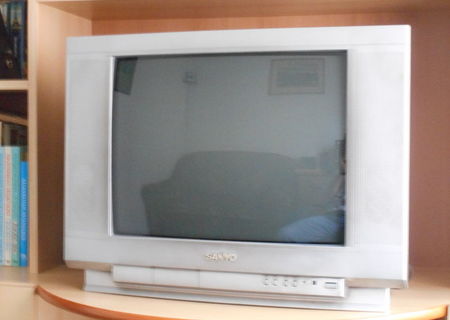 Televizor Sanyo diagonala 80 cm, model CE21CN7F-C