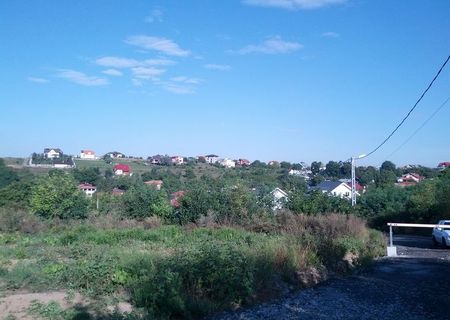 Teren 1000 mp  Iasi, Bucium Plopii fara sot