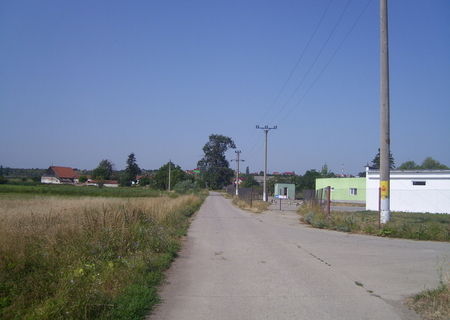 teren 5000m2 la 14 km de Brasov, la BOD
