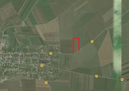 teren 6500 mp poiana constanta
