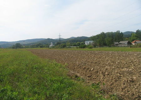 Teren agricol extravilan zona Mihaesti-Gov... » Teren intravilan 5000 mp, zona Govora sat, punctul Stejari