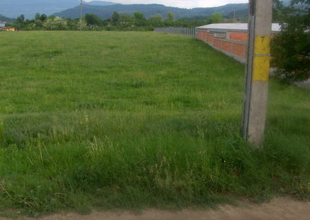 Teren Daesti Teren Daesti