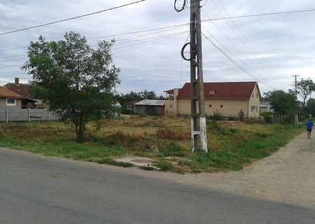 Teren de vanzare