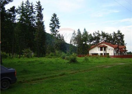 Teren de vanzare Bunloc