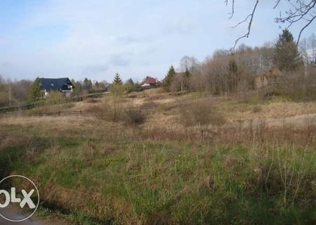 Teren de vanzare in localitatea Horodnic de Sus , Hardic zona cabane