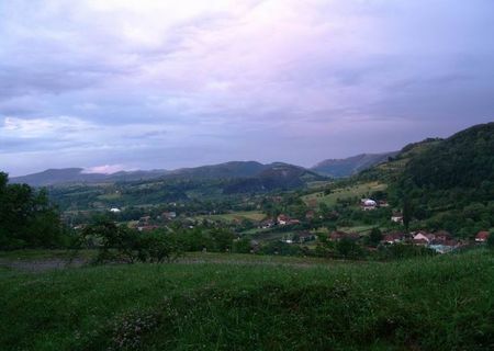 Teren extravilan, judetul Bihor, zona Bratca, Damis