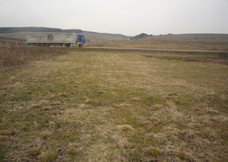 teren extravilant