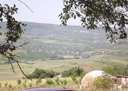 Teren  in Chicirea