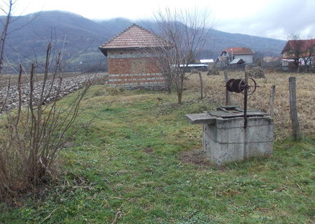 TEREN in Jiblea Noua