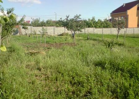 Teren in oncea 400mp 13.000 Euro