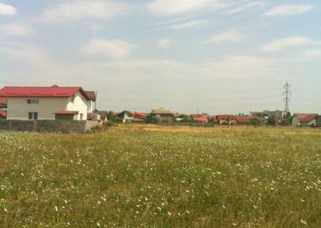 Teren intravilan 1700 mp Lascar Catargiu Teren intravilan 1700 mp Lascar Catargiu