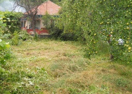 teren intravilan 2200 m² teren intravilan 2200 m²
