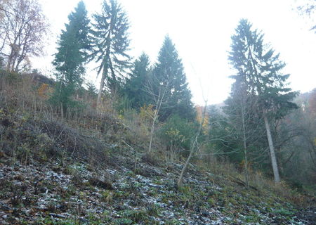 teren intravilan