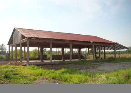 Teren intravilan 3000 mp cu hala in localitatea Barsa, jud Arad