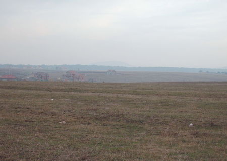 teren intravilan