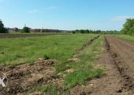 Teren Intravilan 5.900 euro, comuna Berceni Teren Intravilan 5.900 euro, comuna Berceni