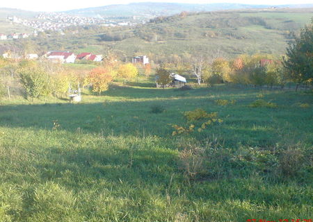teren intravilan