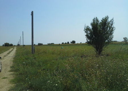 Teren intravilan Com Berceni