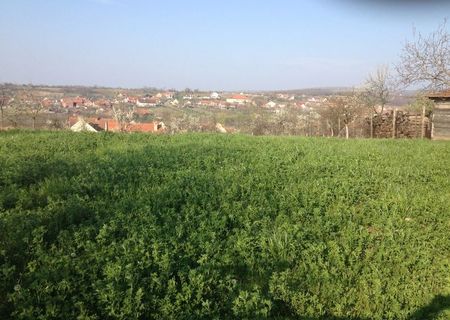 Teren intravilan pt casa