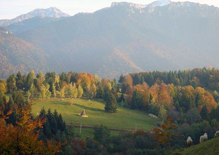 Teren la Munte - Rasnov - Glajarie - 17,000 mp