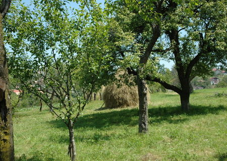 teren pentru constructie Feleacu